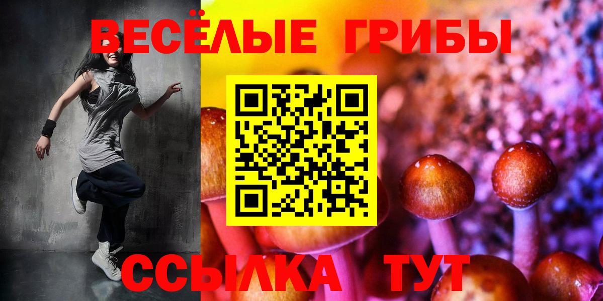 Псилоцибиновые грибы Psilocybe Кохма