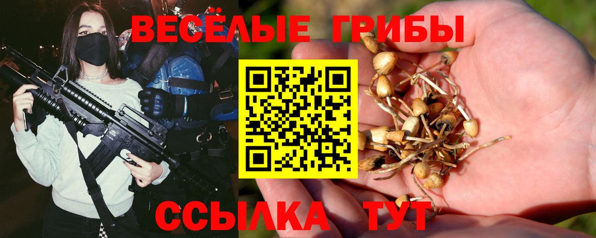 Кохма  где купить   Галлюциногенные грибы Cubensis  Вход с VPN  Галлюциногенные грибы мицелий 