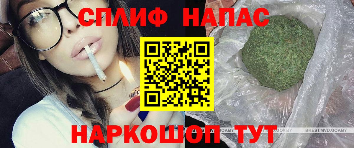 Каннабис ГИДРОПОН Кохма